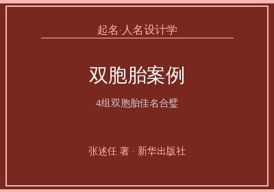 《起名·人名设计学》：双胞胎人名设计案例